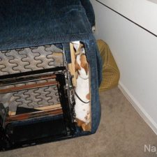 funny_cats_dogs_stuck_furniture_28