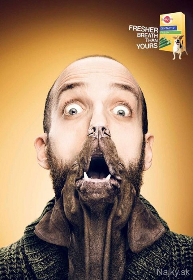 funny_ads_with_animals_39