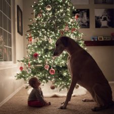 Dogs-and-Kids-2