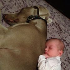 Dogs-and-Kids-28