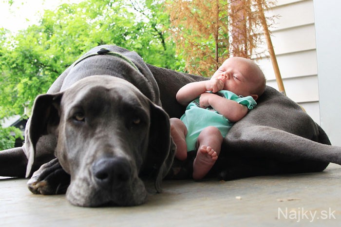 Dogs-and-Kids-3