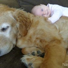 Dogs-and-Kids-9