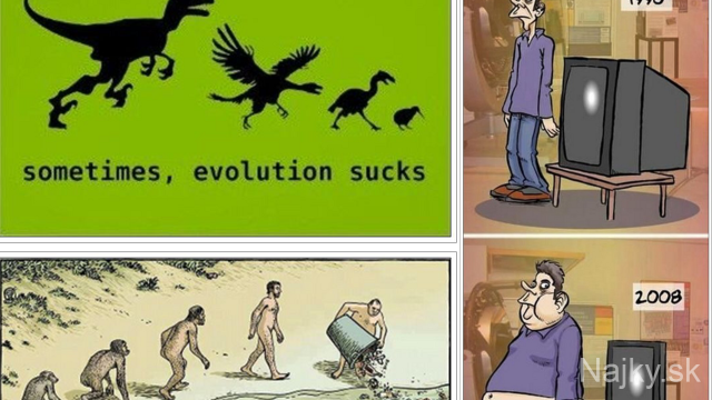 evolucia ti