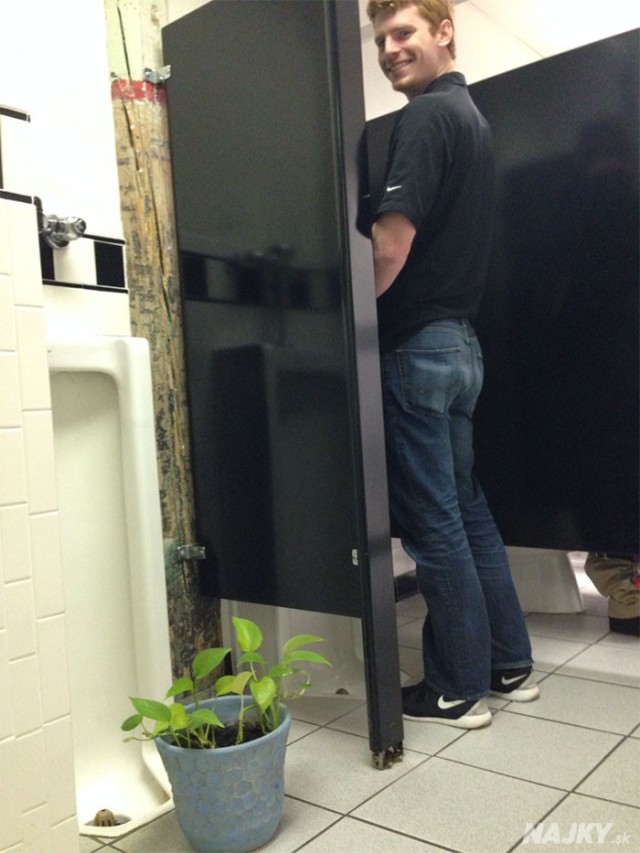 guy-babysits-coworkers-plant-3