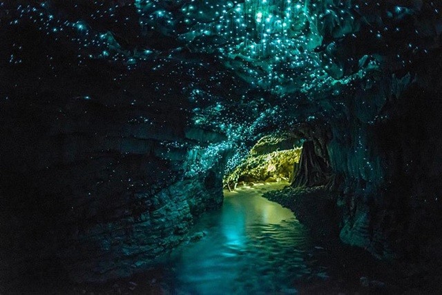 http://www.waitomo.com/Pages/PageNotFoundError.aspx?requestUrl=http://www.waitomo.com/waitomo-glowworm-caves.aspx