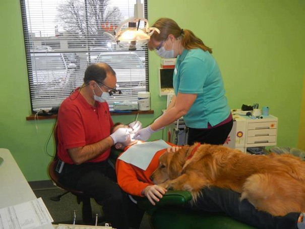http://ww.reddit.com/r/aww/comments/14ma2i/this_dentist_brings_his_dog_in_as_a_way_to_calm/