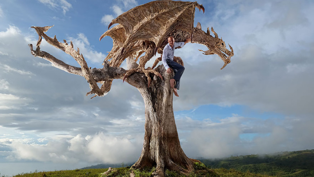 driftwood-dragon-sculptures-james-doran-webb-3