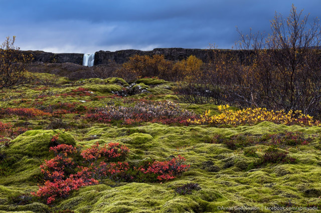 https://500px.com/photo/84857931/autumn-in-thingvellir-national-park-in-iceland-by-arnar-bergur-gu%C3%B0j%C3%B3nsson