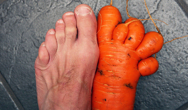 http://www.mirror.co.uk/news/weird-news/gardener-grows-foot-shaped-carrot---259133