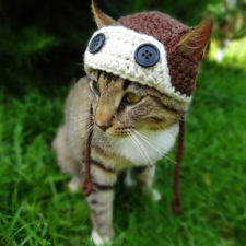 crochet-handmade-hats-pets-iheartneedlework-7__700