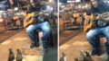 Cats listening music street musician jass pangkor buskers malaysia 2.jpg
