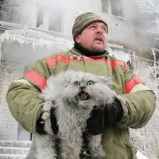 Firefighters rescuing animals saving pets 49 5729f4c1c66b9__605.jpg