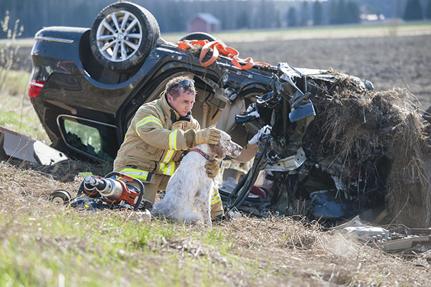 Firefighters rescuing animals saving pets 52 5729f6d2d4491__605.jpg