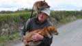 Pet foxes rescue patsy gibbons ireland 26.jpg