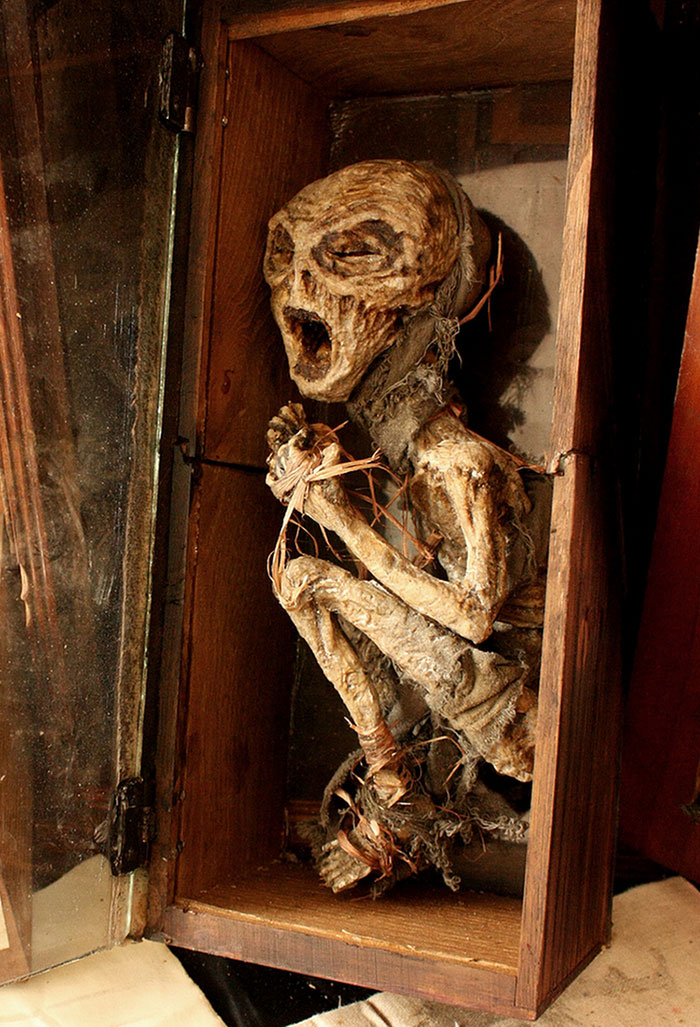 Skulls skeletons thomas theodore merlin home london19.jpg