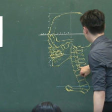 Chinese teacher anatomical chalkboard drawings 1 22.jpg