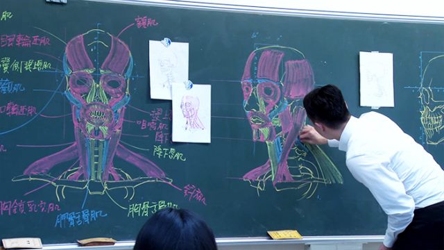 Chinese teacher anatomical chalkboard drawings 16.jpg