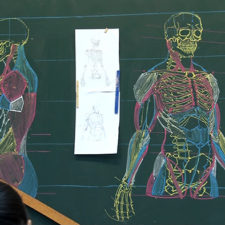 Chinese teacher anatomical chalkboard drawings 3.jpg