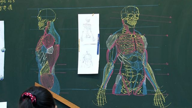 Chinese teacher anatomical chalkboard drawings 3.jpg