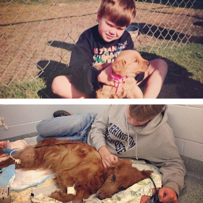 Before after pets growing old first last photos 45 577bad7fe2b4b__700.jpg