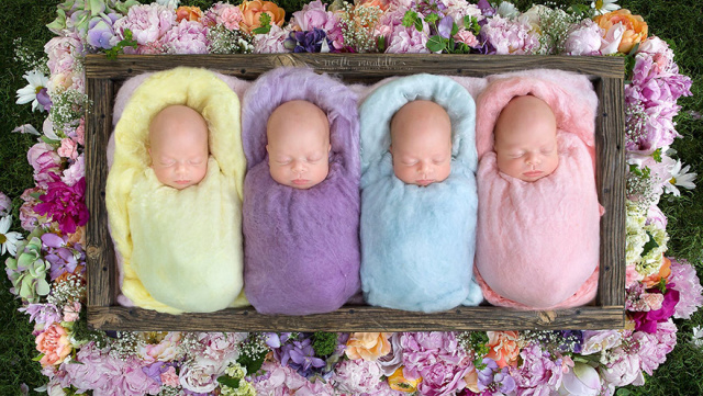 Identical quadruplet newborn photography baby photoshoot noelle mirabella 4.jpg