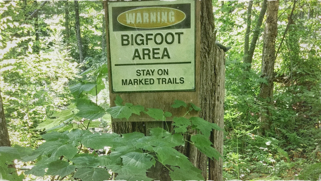 Warning Bigfoot Sasquatch Area Stay on Marked Trails Sign