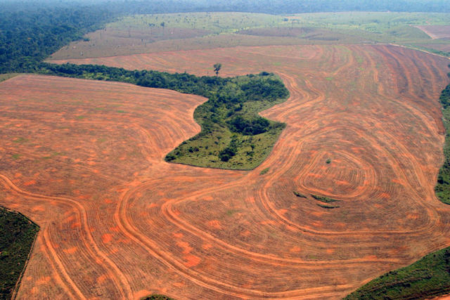 BRAZIL AMAZON DESTRUCTION