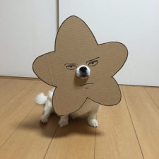 Dog costume cardboard cutouts myouonnin 33 580f543302db5__605.jpg