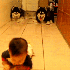 Funny baby parenting moments 107 57fceaa06c5f4__605.gif
