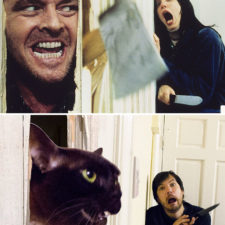 Movie cats recreate famous movie scenes 2 5833fce07a084__700.jpg
