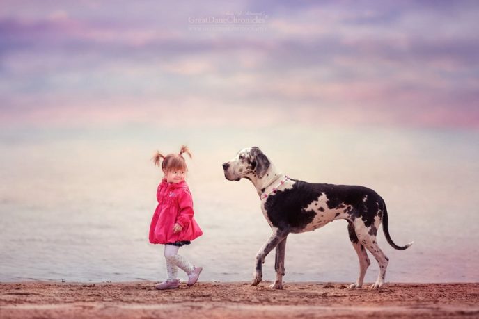 Little kids big dogs photography andy seliverstoff 15 584fa91953feb__880.jpg