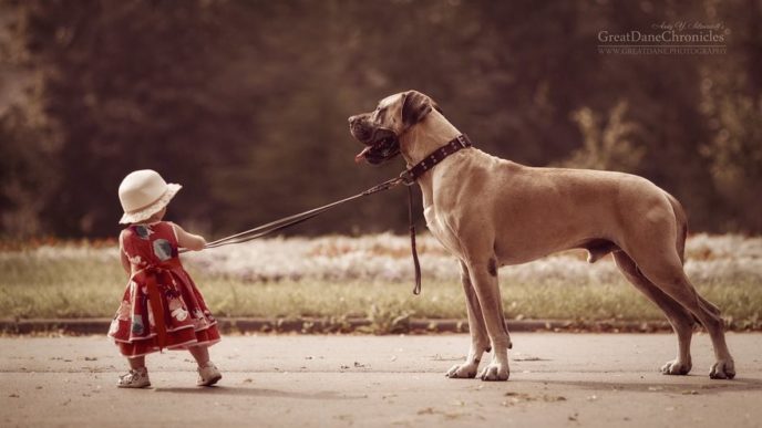 Little kids big dogs photography andy seliverstoff 24 584fa92ca8a9c__880.jpg