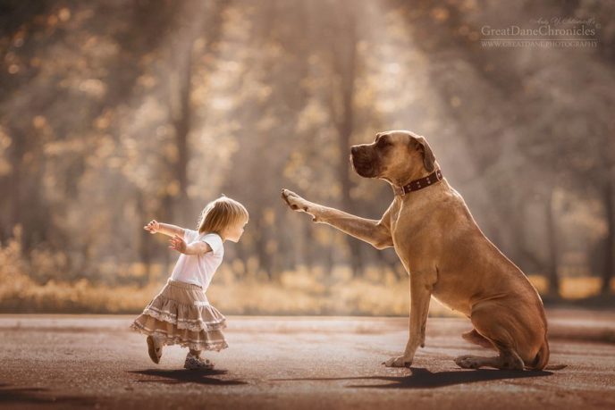 Little kids big dogs photography andy seliverstoff 4 584fa905bee2a__880.jpg