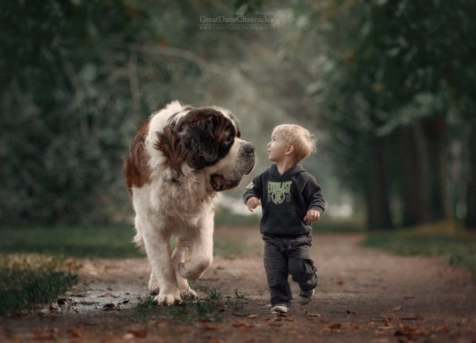 Little kids big dogs photography andy seliverstoff 5 584fa907a3cb6__880.jpg