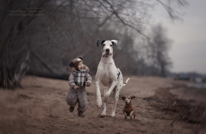 Little kids big dogs photography andy seliverstoff 6 584fa90999f74__880.jpg