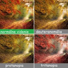 Different types color blindness photos 40 588745a1320ea__880 1.jpg