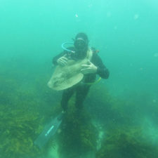 Diver cuddles shark rick anderson australia 5.jpg