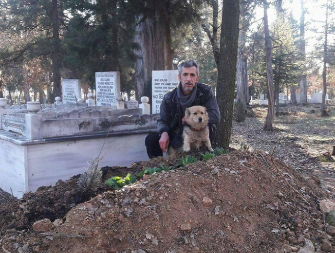 https://www.thedodo.com/dog-visits-grave-every-day-2211964715.html