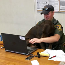 K 9 officer dog kissing photo kenobi 1.jpg