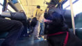 Dog rides bus seattle eclipse 10 5948c8a87f62e__700.jpg