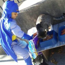 Little boy superhero costumes street cats kolony kats 18 59ed918d461f9__700.jpg