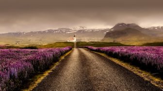 Iceland island pixabay 7.jpg