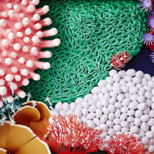 Ive spent 4 months to create this coral piece with paper 5a744ba39f9c6__880.jpg