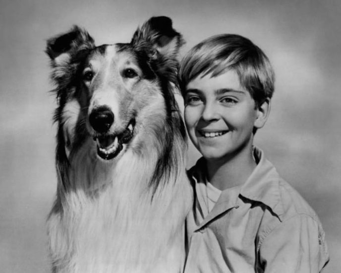 Lassie4.jpg