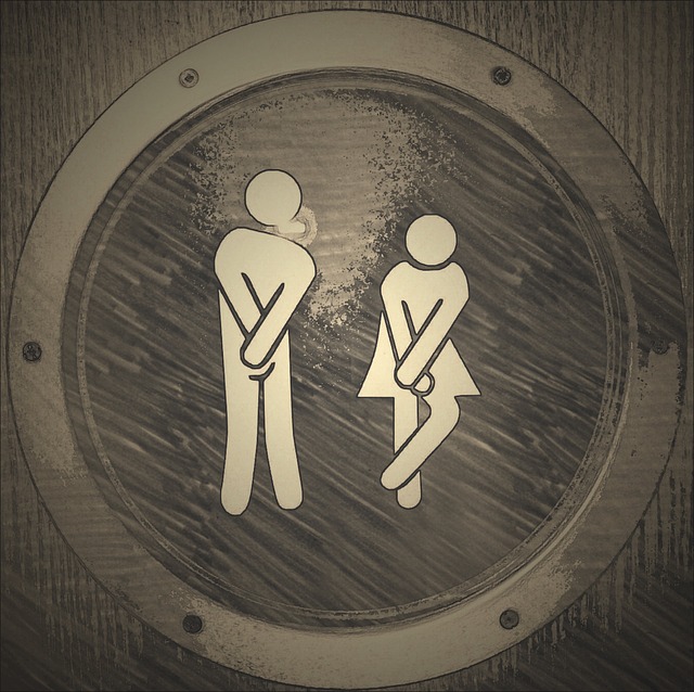 Toaleta pixabay 1.jpg
