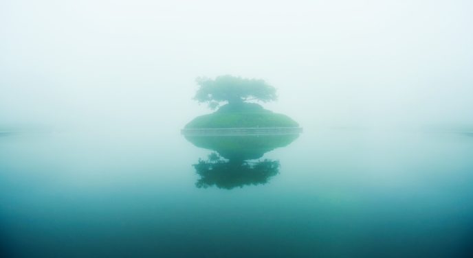 Https://www.maxpixel.net/A Tree Fog Lake Island The Tree Of Life 1797312