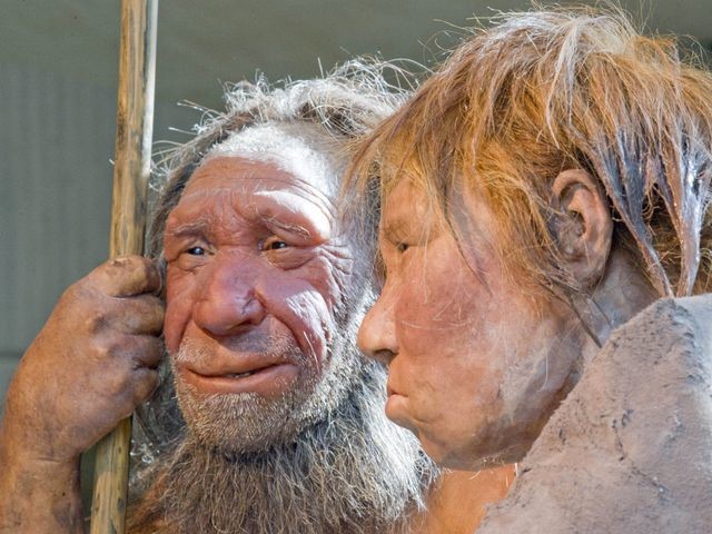 Germany Neanderthal Dating