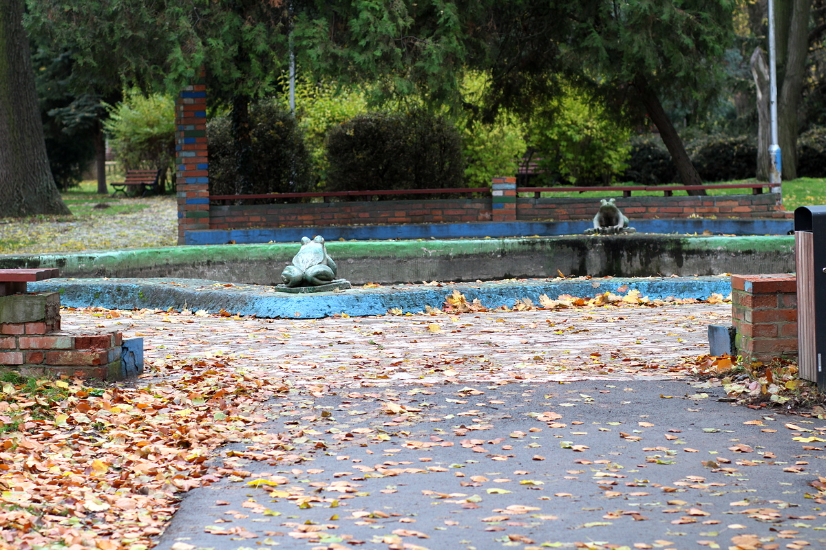 Zabia fontana v parku 7.jpg