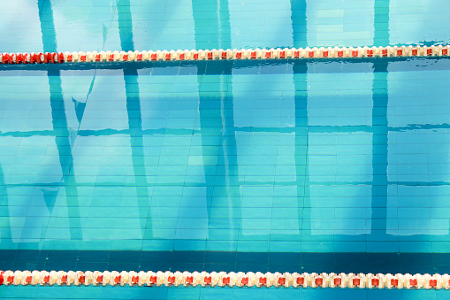 Sports Water Sports Swimming