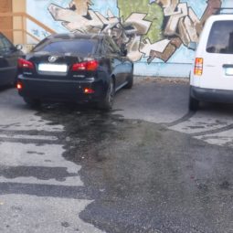 Poškodený Lexus